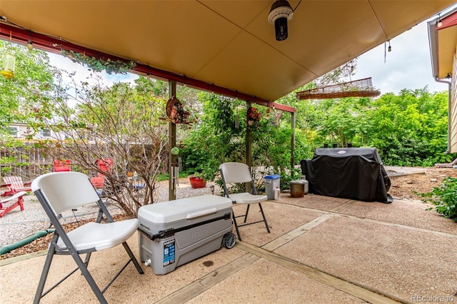 18206 E Loyola Dr, Aurora, CO 80013 - view of patio featuring grilling area