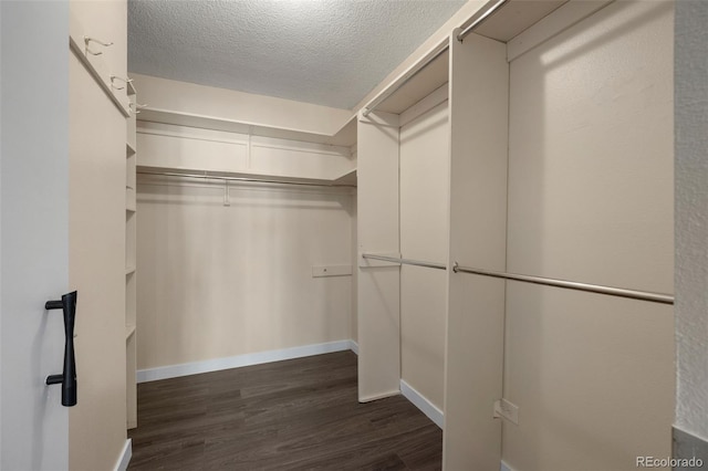 spacious closet featuring dark wood-type flooring