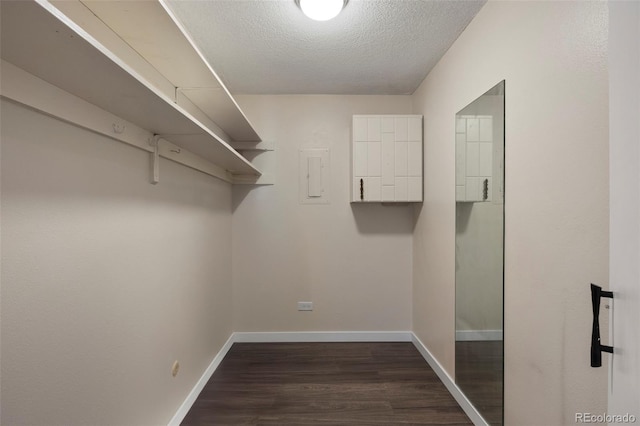 walk in closet featuring dark hardwood / wood-style floors and electric panel