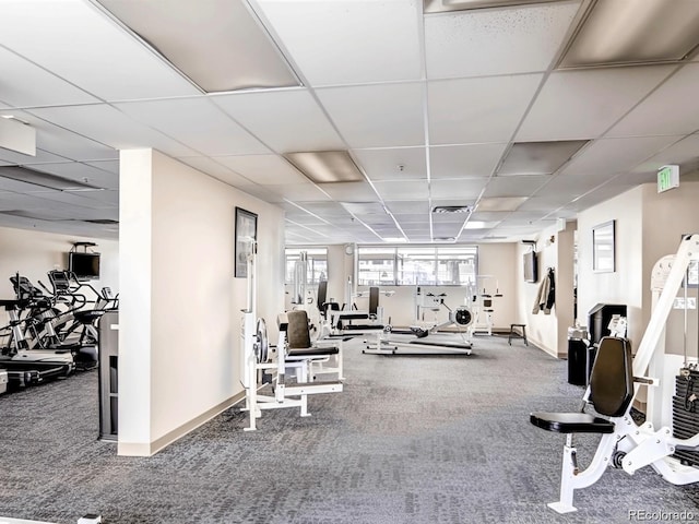 workout area featuring a paneled ceiling and carpet flooring