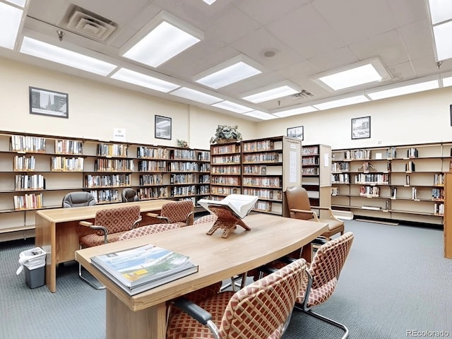 carpeted office space with a drop ceiling