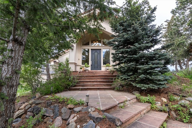1425 Autumnwood Ln, Evergreen, CO 80439 - property entrance with french doors