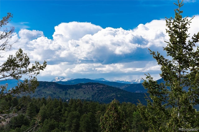 1425 Autumnwood Ln, Evergreen, CO 80439 - view of mountain backdrop featuring a forest