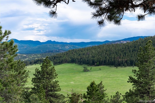 1425 Autumnwood Ln, Evergreen, CO 80439 - mountain view with a heavily wooded area
