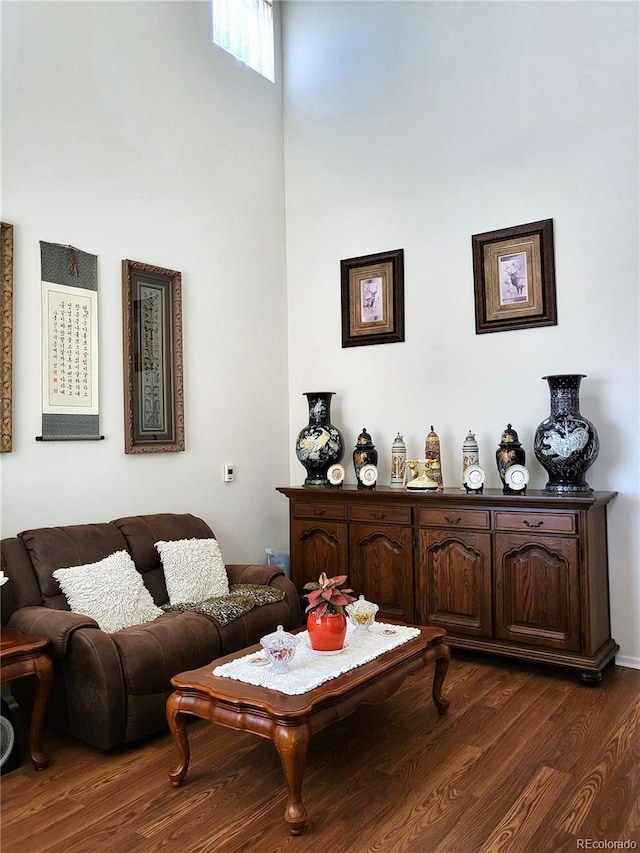 living room featuring dark wood finished floors and a towering ceiling