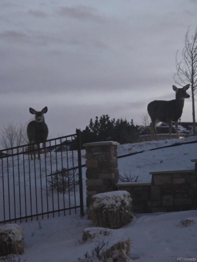 view of snow covered gate