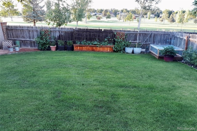 view of yard with fence private yard and a vegetable garden