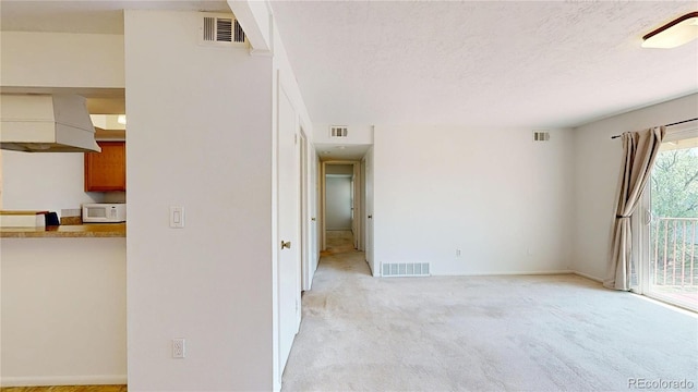 12120 Melody Dr Unit 308, Westminster, CO 80234 - empty room featuring light carpet, a textured ceiling, and baseboards