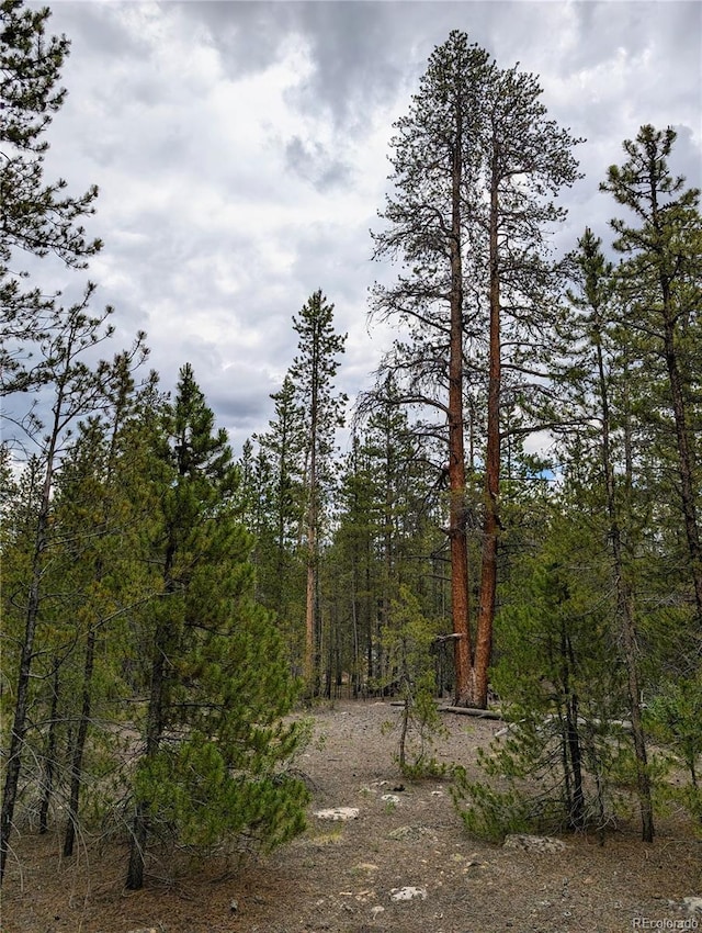 437 Juniper Dr, Twin Lakes, CO 81251 - photo 1