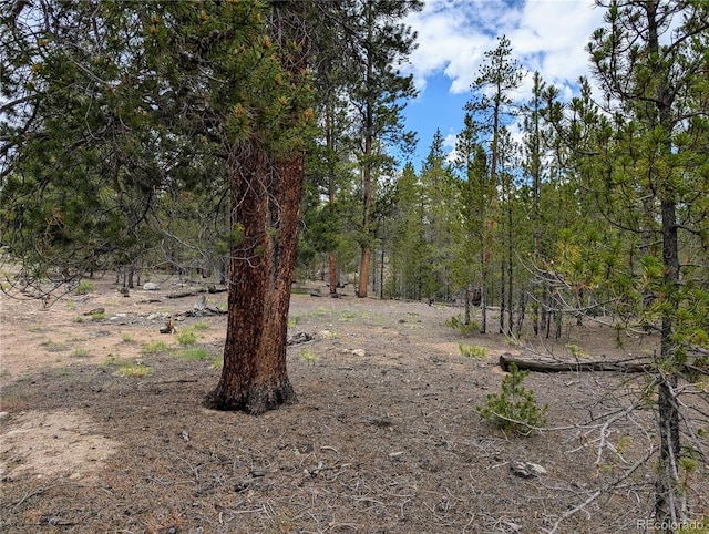 437 Juniper Dr, Twin Lakes, CO 81251 - photo 2