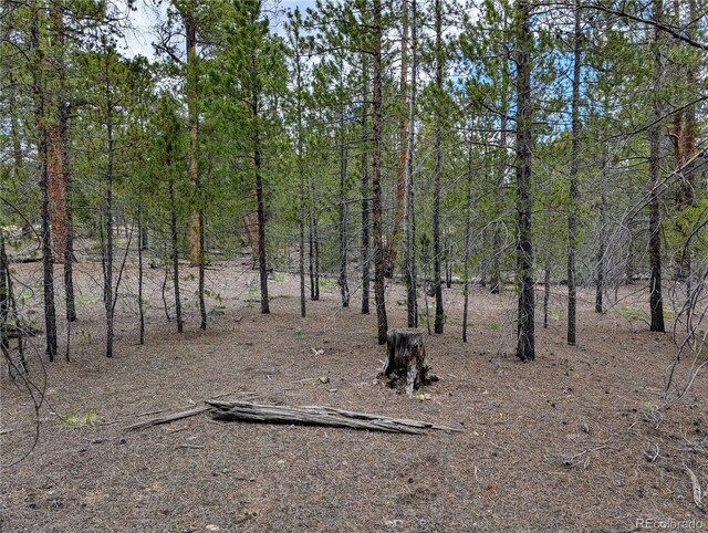 437 Juniper Dr, Twin Lakes, CO 81251 - photo 3