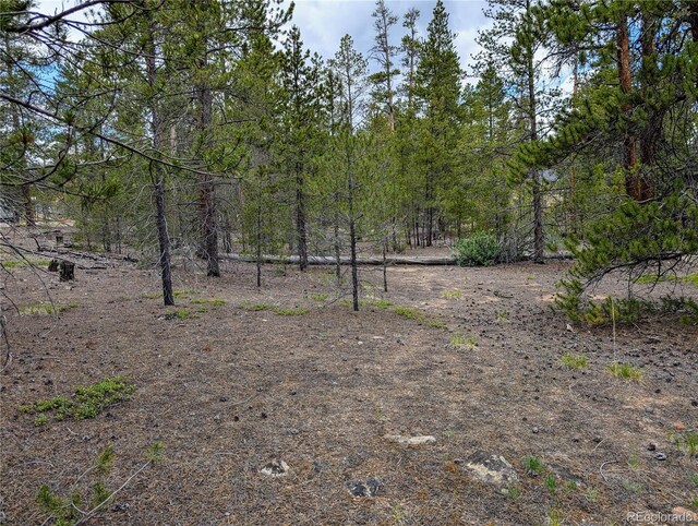 437 Juniper Dr, Twin Lakes, CO 81251 - photo 4
