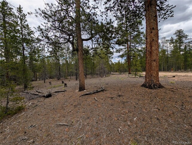 437 Juniper Dr, Twin Lakes, CO 81251 - photo 5