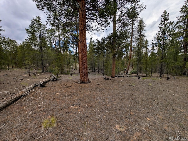 437 Juniper Dr, Twin Lakes, CO 81251 - photo 6