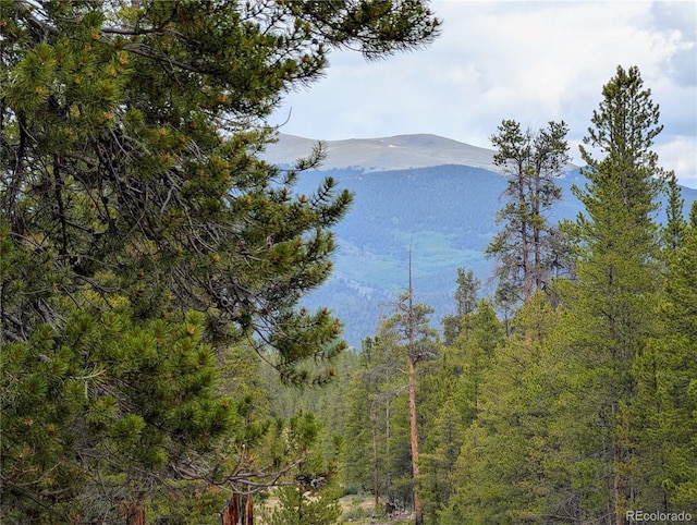 437 Juniper Dr, Twin Lakes, CO 81251 - photo 7