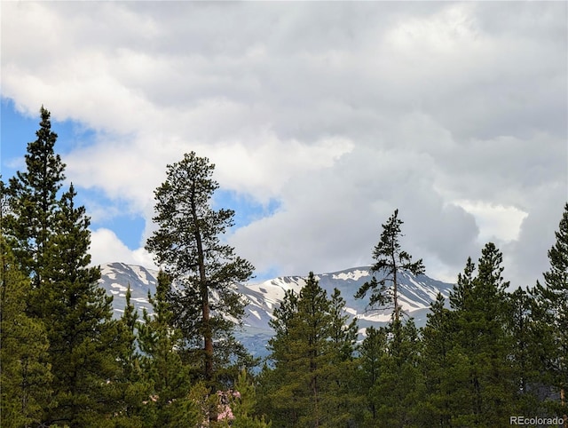 437 Juniper Dr, Twin Lakes, CO 81251 - photo 8