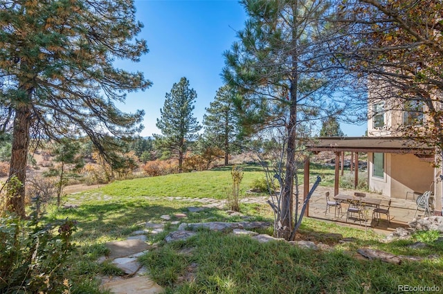 view of yard with a patio