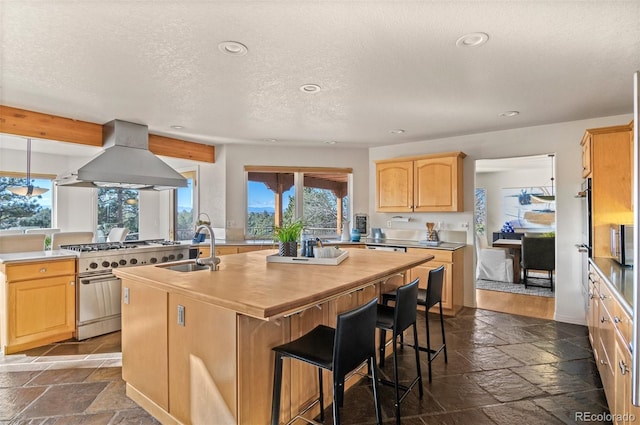 kitchen featuring a kitchen island with sink, sink, high end stainless steel range, a textured ceiling, and island exhaust hood