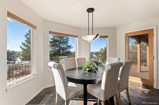 dining room featuring plenty of natural light