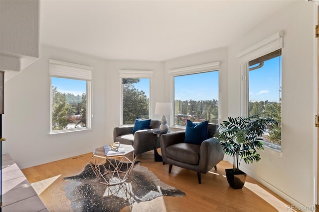 interior space with hardwood / wood-style floors and a healthy amount of sunlight