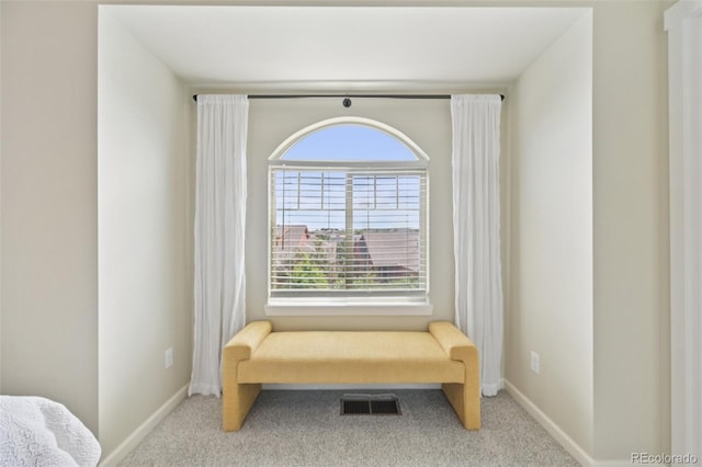 18173 E Saskatoon Pl, Parker, CO 80134 - sitting room with carpet flooring and baseboards