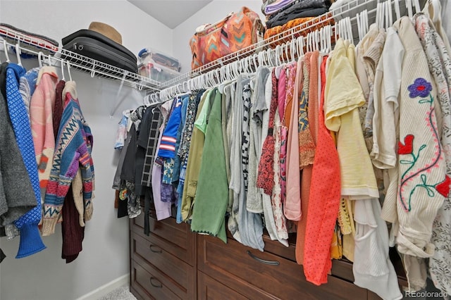 18173 E Saskatoon Pl, Parker, CO 80134 - view of spacious closet