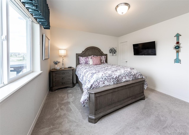 4330 Prairie Agate Dr, Colorado Springs, CO 80938 - bedroom featuring carpet