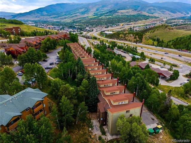 2402 Ryan Gulch Ct Unit 2402, Silverthorne, CO 80498 - photo 24