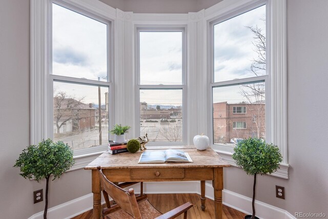 131 N Sherman St, Denver, CO 80203 - office space with baseboards, wood finished floors, and healthy amount of natural light
