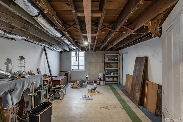 131 N Sherman St, Denver, CO 80203 - view of below grade area