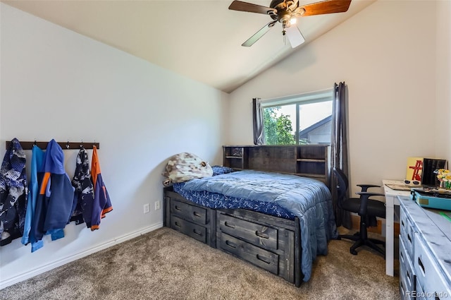 815 Meadow Ln, Palmer Lake, CO 80133 - photo 19