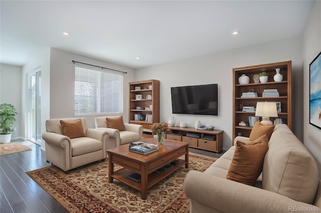 living room featuring dark wood-type flooring