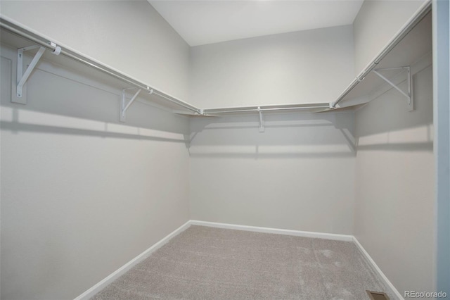 walk in closet with carpet floors