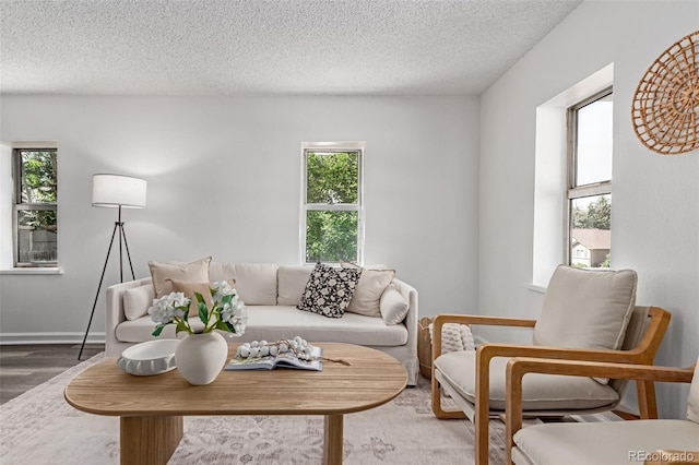 4450 S Fox St, Englewood, CO 80110 - living room featuring wood finished floors and a textured ceiling