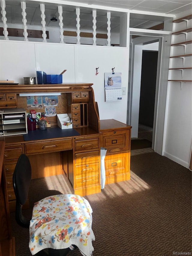 kitchen featuring carpet flooring