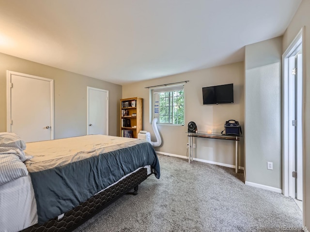 4935 E 100th Dr, Thornton, CO 80229 - carpeted bedroom with baseboards