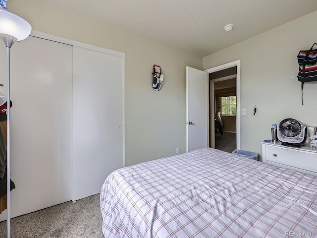 4935 E 100th Dr, Thornton, CO 80229 - bedroom with carpet flooring and a closet