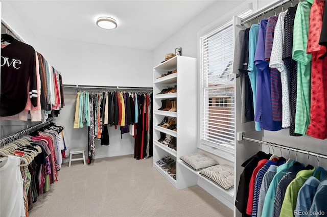 11208 W Ontario Ave, Littleton, CO 80127 - spacious closet with carpet flooring