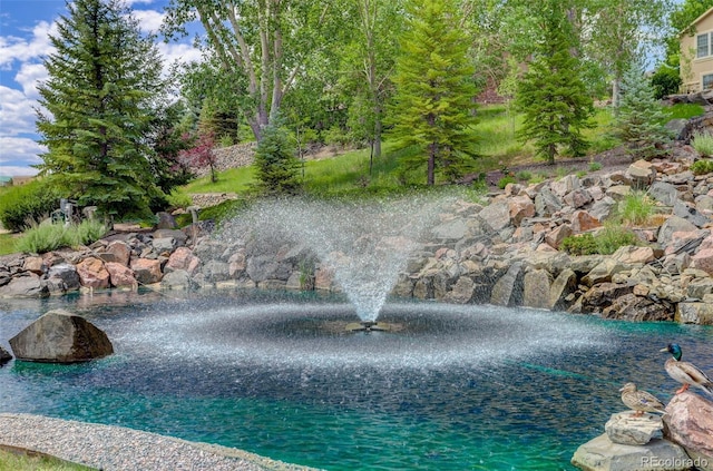 11208 W Ontario Ave, Littleton, CO 80127 - view of pool