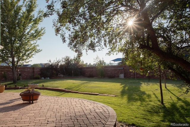 view of yard featuring a patio area