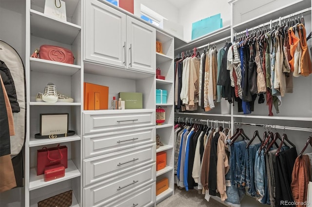 8023 Gore Creek Ln, Littleton, CO 80125 - view of spacious closet