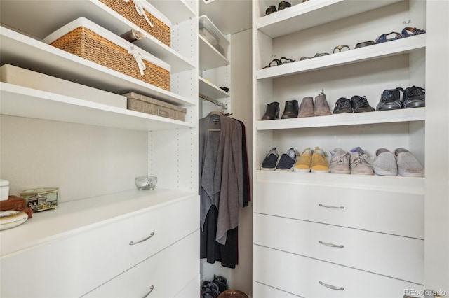 view of walk in closet