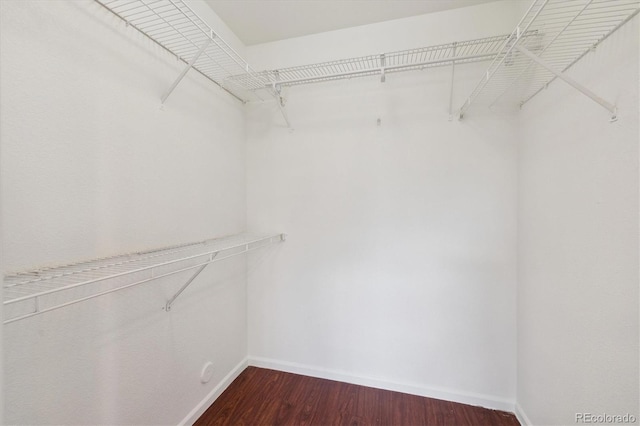 spacious closet with wood finished floors