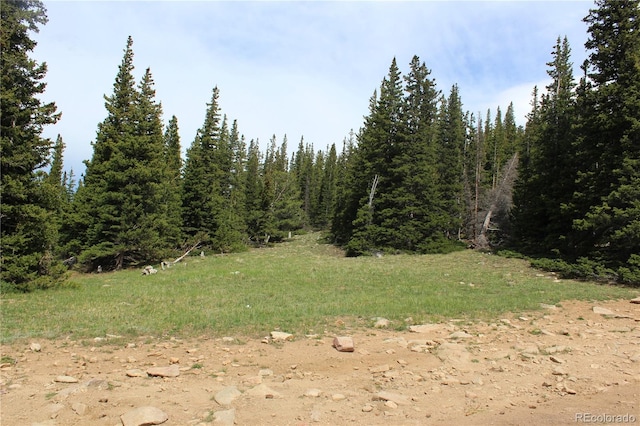 GROUP14 Lamartine Rd, Idaho Springs, CO 80452