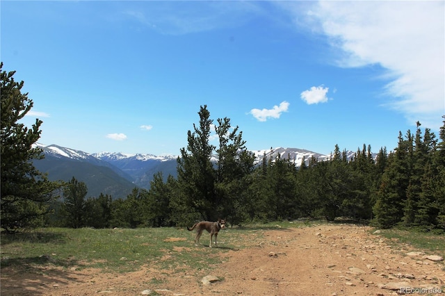 GROUP14 Lamartine Rd, Idaho Springs, CO 80452