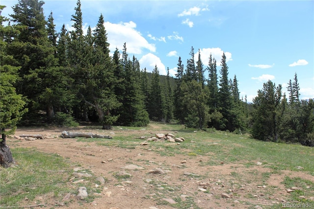 GROUP14 Lamartine Rd, Idaho Springs, CO 80452