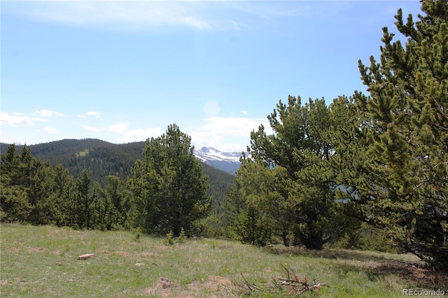 GROUP14 Lamartine Rd, Idaho Springs, CO 80452