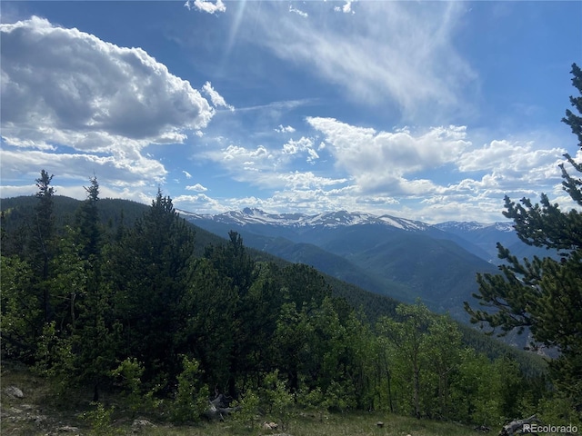 GROUP14 Lamartine Rd, Idaho Springs, CO 80452