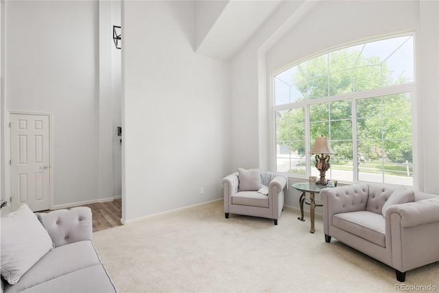 living room featuring light colored carpet and a high ceiling