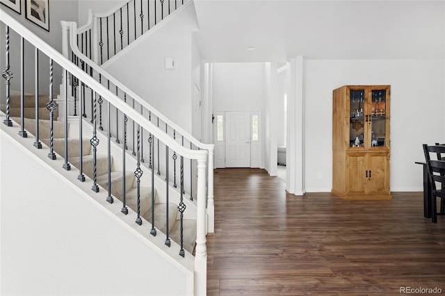 foyer entrance featuring dark wood-type flooring